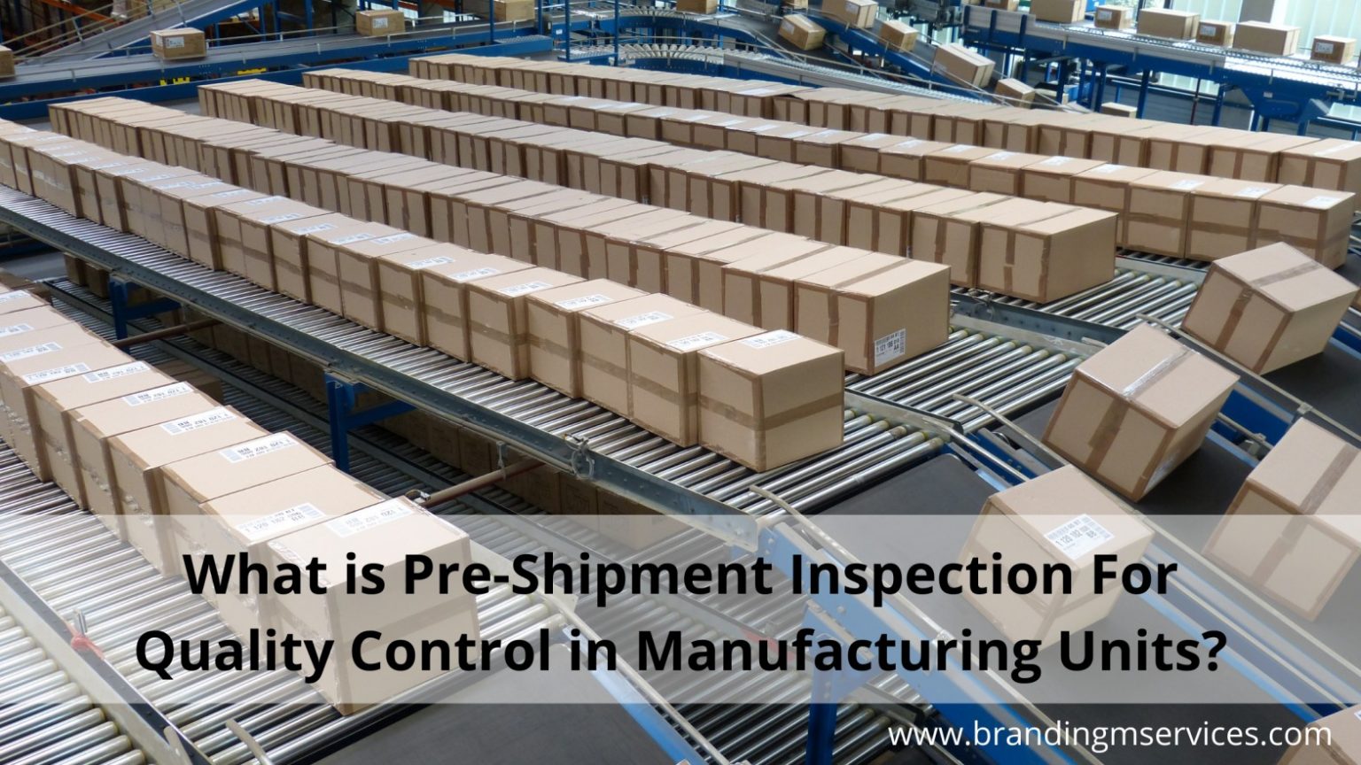 Pre Shipment Inspection Ensuring Quality In Manufacturing